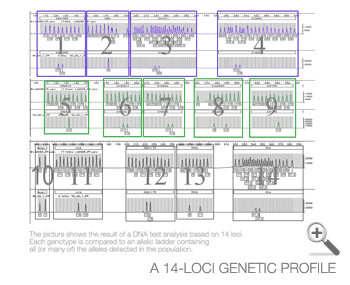 A 14-loci genetic profile